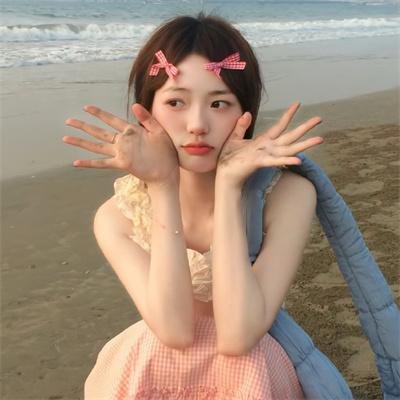 海岸大捕怪国语